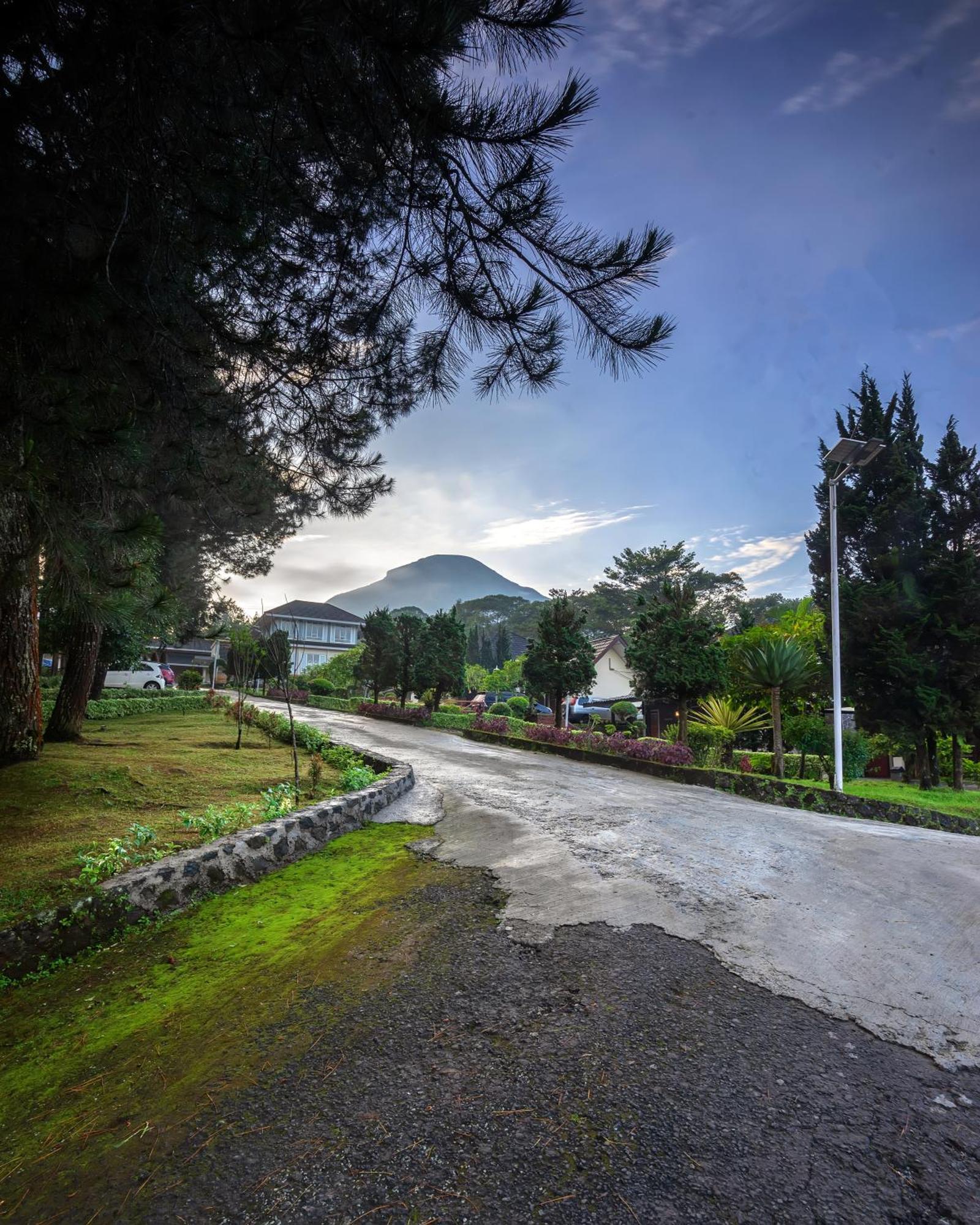 Tambi Tea Resort Kejajar Esterno foto